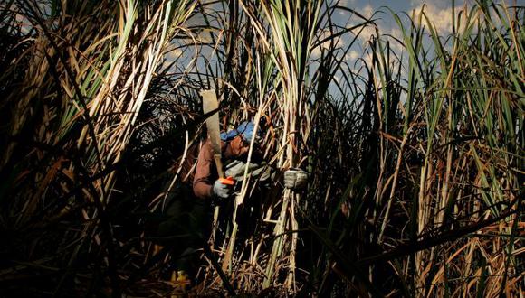 México probablemente tratará de exportar hasta 500,000 toneladas métricas de azúcar en el mercado mundial para liberar espacio de almacenamiento antes de que comience la próxima temporada el 1 de octubre.