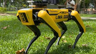 Perros robot de policía: ¿máquinas útiles o deshumanizantes?