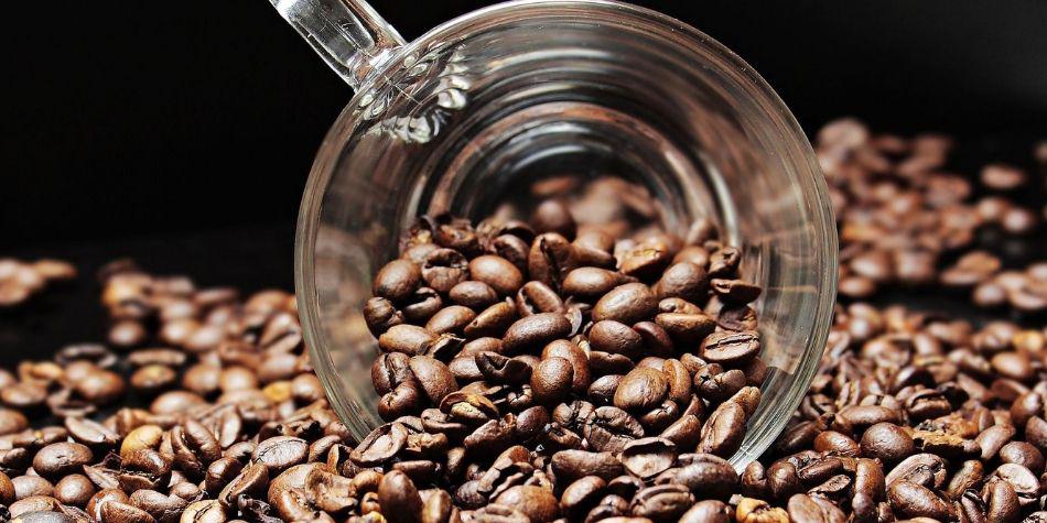 La mayoría de los analistas del mercado esperan un nuevo récord en la cosecha 2020, particularmente debido a más producción de áreas recientemente plantadas en Brasil, el mayor productor y exportador mundial. (Foto: Pixabay)