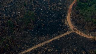 Los incendios son un “momento decisivo” para la Amazonía