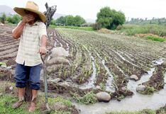 Agrobanco firma acuerdos con 13 juntas de regantes para aumentar productividad