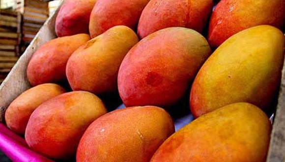 Chile concentra el 3% del mango que exporta Perú.