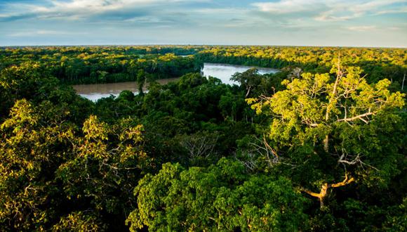 Foto 9 | Reserva Nacional de Tambopata. La emblemática área natural protegida de Madre de Dios recibió el pasado 55,142 visitantes. De este total, el 84 por ciento de las visitas fueron realizadas por extranjeros atraídos por la gran biodiversidad que posee la Reserva Nacional Tambopata. (Foto: USI)