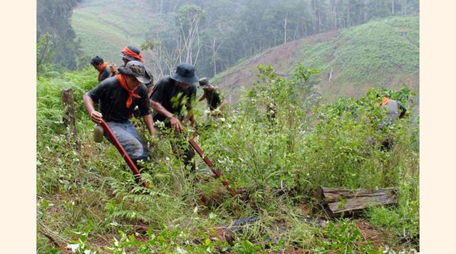 Los cocaleros se oponen a la erradicación de los cultivos de coca. En el 2012, obligaron suspender durante cuatro semanas las operaciones de erradicación. Cientos de cocaleros, usando explosivos, granadas y piedras, se enfrentaron a los erradicadores y pe