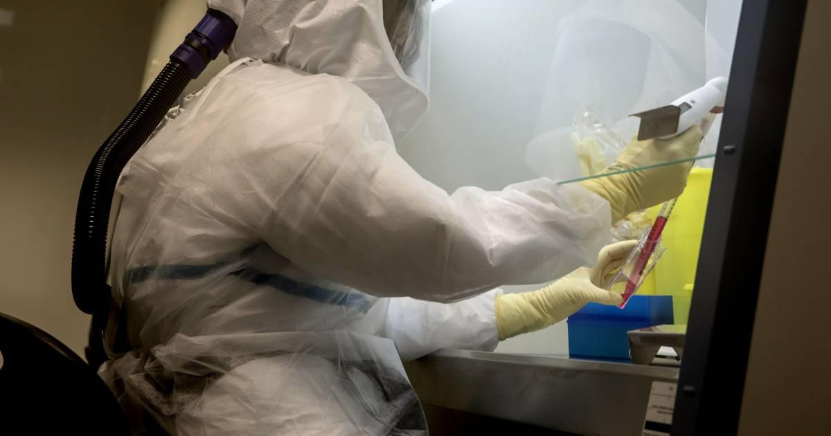 Una vacuna placebo no funcionará como control en este caso porque la vacuna BCG generalmente causa una reacción cutánea localizada que deja una cicatriz, lo que hace obvio qué grupo recibió la vacuna contra la tuberculosis. (Foto: Bloomberg)