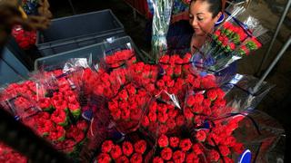 Colombia lanza plan para duplicar exportaciones de flores en el 2030