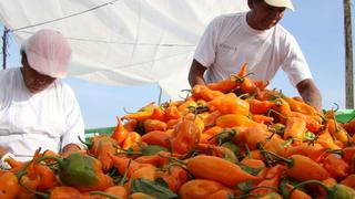 Producción agropecuaria de Perú crece 11.1% en abril debido a más alimentos