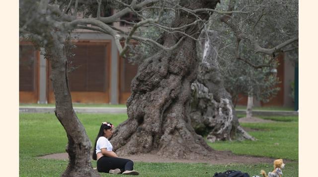 La ubicación del parque en una zona exclusiva con abundantes vigilantes y empleados de limpieza pública es un imán que a diario atrae a decenas de enamorados, madres con sus pequeños hijos o parejas de recién casados que cruzan varios kilómetros desde zon