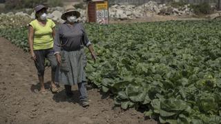 Trabajadores de Ica presentarán petitorio para modificar algunos artículos de la ley agraria