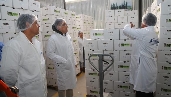 El ministro Gustavo Mostajo (lado izquierdo) visitó la planta empacadora de ajo de Aproexpo en Arequipa. (Foto: Difusión)