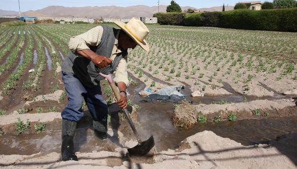 La medida busca beneficiar a la agricultura familiar. (Foto: Heiner Aparicio | GEC)