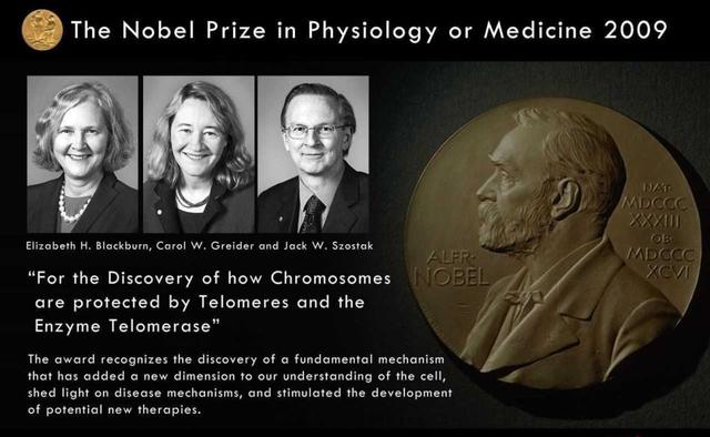 2009: Elizabeth Blackburn (Australia/EEUU), Carol Greider y Jack Szostak (Estados Unidos), por sus descubrimientos sobre los mecanismos de la vida y sus aplicaciones en la lucha contra el envejecimiento.