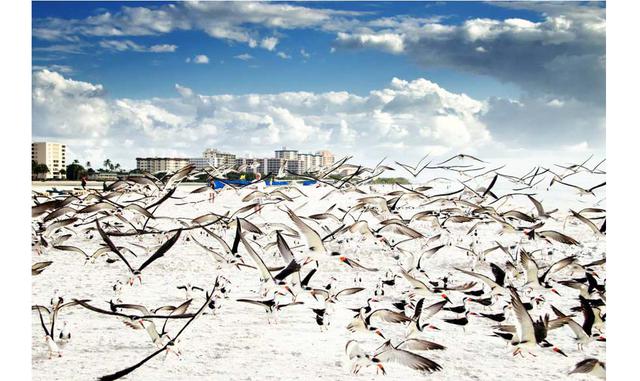 FOTO 8 | La playa de los rayadores. Hace 504 años, en 1513, el explorador español Juan Ponce de León desembarcó en una cálida península a la que bautizó La Florida buscando la fuente de la eterna juventud. No la encontró, aunque a muchos de los jubilados 
