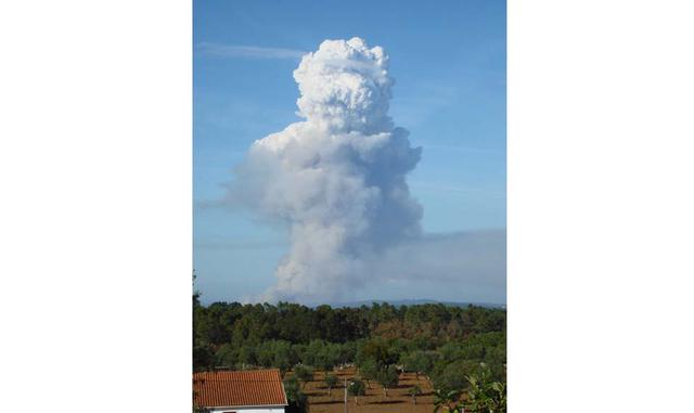 Flammagenitus: Generadas a partir de un incendio (Foto: biobiochile.cl)