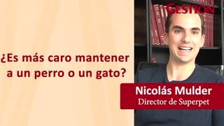 Perros vs gatos: ¿Qué mascota es más costosa de mantener en Perú?