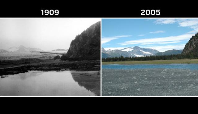 Glaciar Oso | Otro glaciar de Alaska que está por desaparecer es el Oso. Las imágenes que proporciona la NASA identifican que su espacio viene siendo reemplazado por áreas verdes. (NASA)