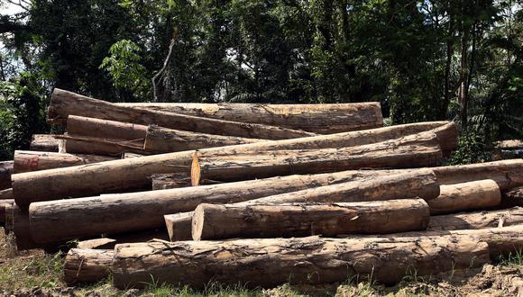La trazabilidad de la madera permite detectar los casos de tala ilegal. (Foto: GEC)
