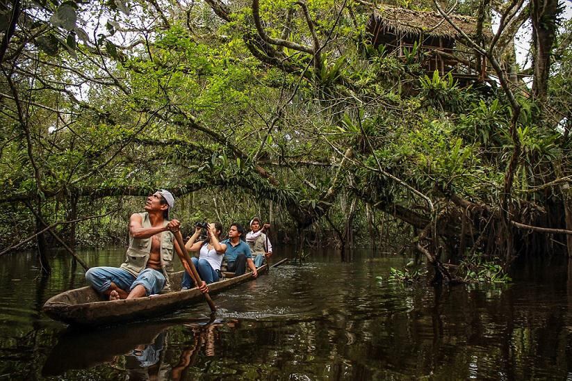 “Tingana” es una lección para los emprendedores turísticos debido a que trabajaron el cambio de enfoque sobre el aprovechamiento de los recursos forestales, pasando de depredadores de la selva a ser cuidadores de uno de los ecosistemas más fascinantes que existen en el mundo (Foto: Difusión).