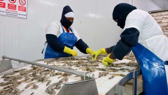 El 13 de julio de 2020, muestra a empleados de una de las tres empresas afectadas por la sanción china al camarón ecuatoriano en Guayaquil. (Foto: EFE/Ministerio Comercio)