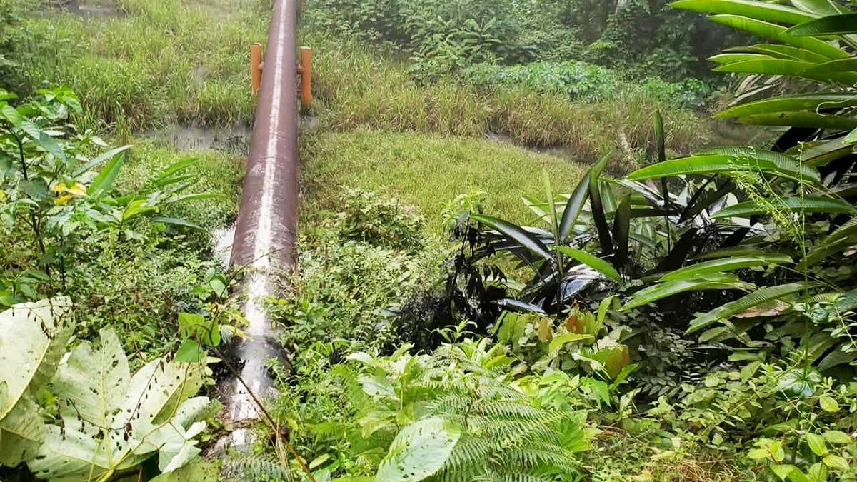 El Oleoducto Norperuano transporta petróleo en la selva. (Foto: Difusión)