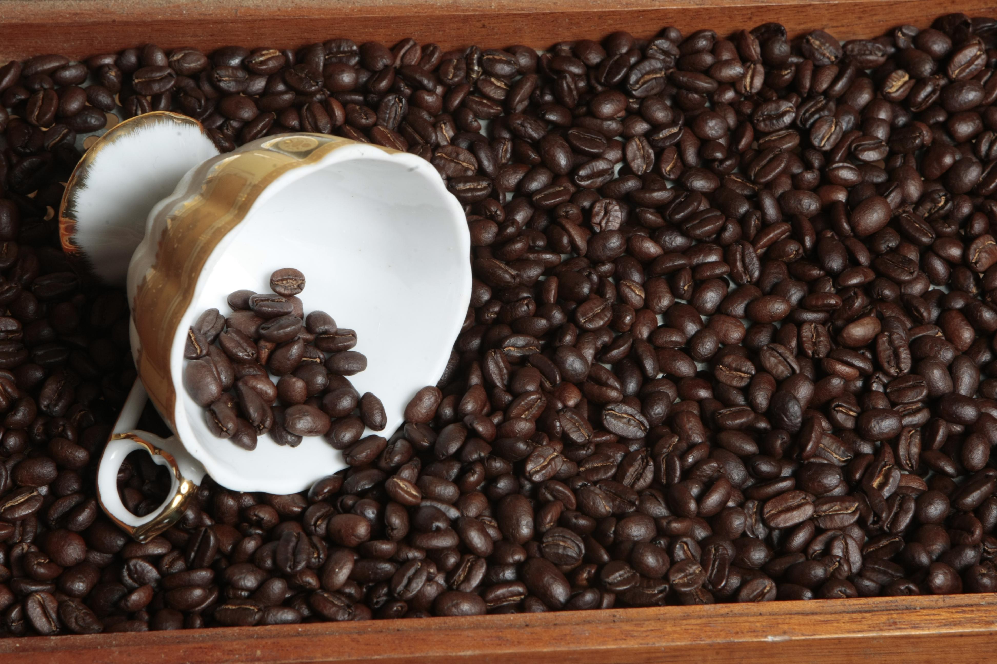 El Ministerio de Agricultura y Riego acordó implementar un plan de promoción de consumo de café a nivel nacional. (Foto: GEC)