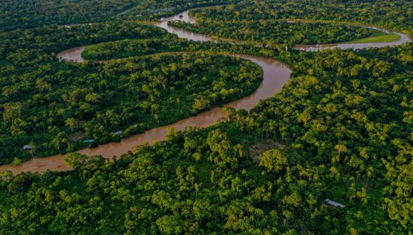 Compañías forestales de América Latina como la chilena Arauco y la brasileña Suzano se verán beneficiadas, estima Fitch.