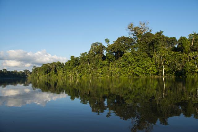 Parque Nacional Yaguas
