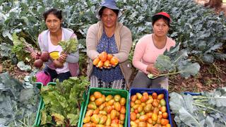 Conveagro: el coronavirus es una oportunidad para enfrentar la obesidad con alimentación saludable