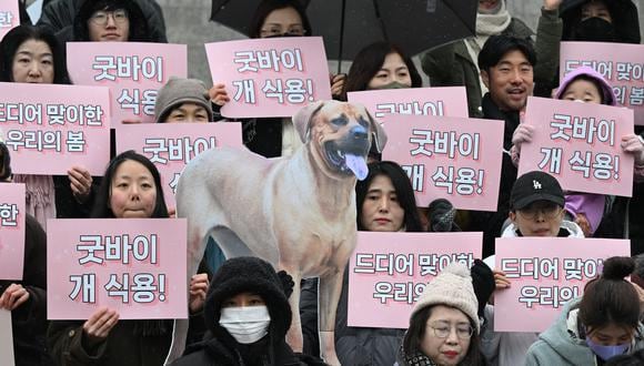 Activistas por los derechos de los animales sostienen carteles defendiendo la vida de los perros (Foto: AFP)