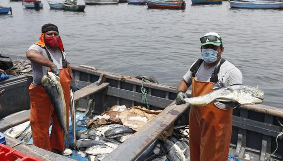 Repsol pide la reactivación de la pesca artesanal. (Foto: GEC)