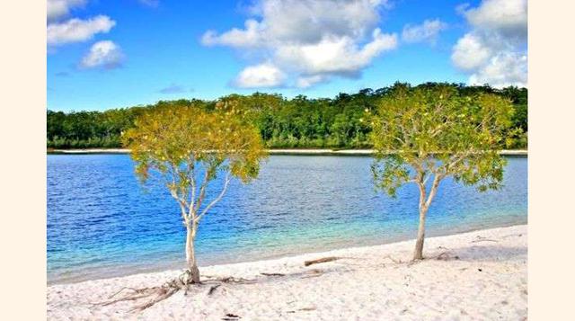 Lago Mckenzie, Isla Fraser, Australia. Sin duda el lago más bello de Australia, el Lago Mckenzie de belleza sutil con aguas puras, arenas blancas y rodeado de vegetación exuberante y verde.