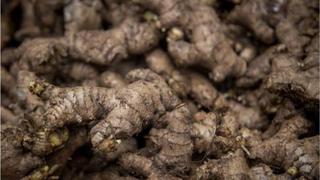 Boom del jengibre impulsó siembras de este cultivo; ¿qué riesgos enfrentan hoy los productores