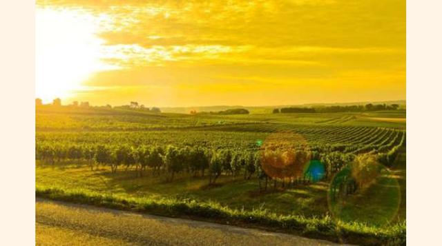 BURDEOS, FRANCIA. No podíamos hablar de vino sin añadir a nuestra lista Burdeos, donde deberás viajar y envolverte en la verdadera cultura del vino. Aquí se producen algunos de los mejores vinos del mundo. Es aconsejable que hagas rutas por los viñedos, e