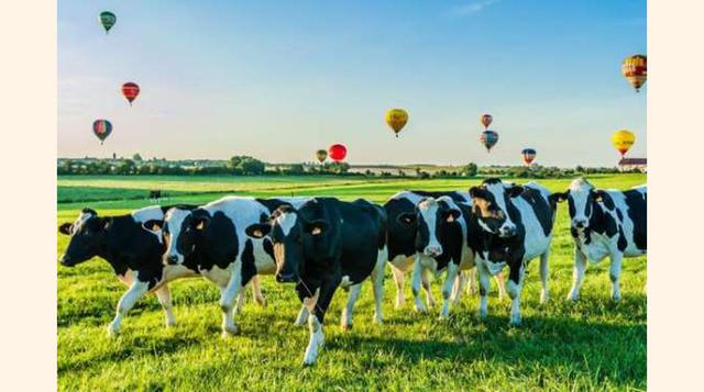 Festival Internacional de Globos Aerostáticos, Lorraine, Francia. Este evento llamado Lorraine Mondial Air Ballons tiene lugar en la localidad de Chambley y participan 300 globos mágicos. En medio de la naturaleza, este festival ofrece un espectáculo incr
