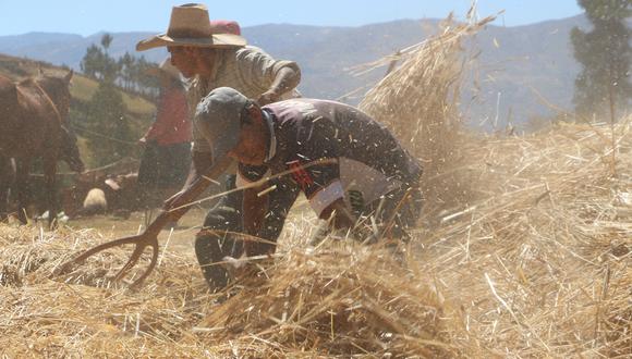Las importaciones de productos agrícolas han afectado a los productores que no cuentan con subsidios en el algodón, maíz, trigo, entre otros, según Fernando Cillóniz. (Foto: GEC)