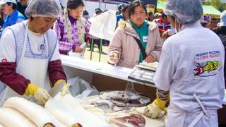 Pesca artesanal perdió US$ 240 millones por dispositivo de ordenamiento pesquero