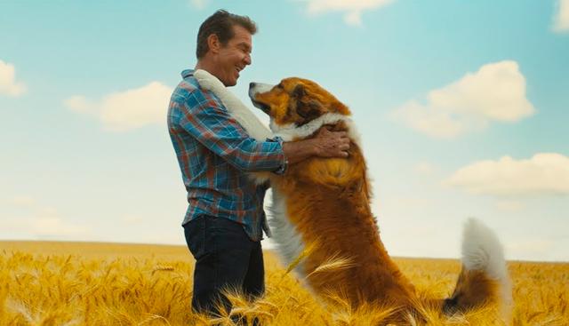 Foto 4 | "A Dog's Journey", de Universal, se ubicó en cuarta posición, con un monto de US$ 8 millones. (Foto: IMDB)