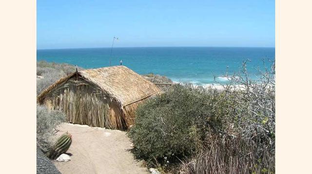 Es una palapa con paredes y techo de palma. Los dueños viven a unos metros de distancia y el gato seguramente los recibirá con ronroneos. Los Cabos, México. (Foto: Airbnb)