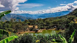Unesco reconoce los Bosques de Neblina-Selva Central como la sexta Reserva de Biosfera del Perú