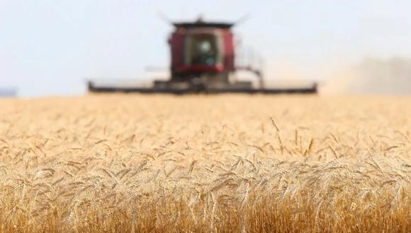 Ucrania y Rusia representan en conjunto 30% del comercio mundial de trigo. (Foto: Reuters)