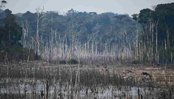 Actividades legales e ilegales afectan la Amazonía. (Foto: AFP)