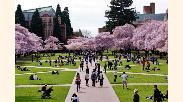 Universidad de Washington. Ubicación: Seattle, Washington. Número de estudiantes: 8.305 (Foto: Forbes)