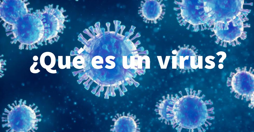 FOTO 1 | ¿Qué es un virus? Están entre los organismos más abundantes del planeta, sin embargo, sabemos muy poco sobre ellos. (Foto: iStock)