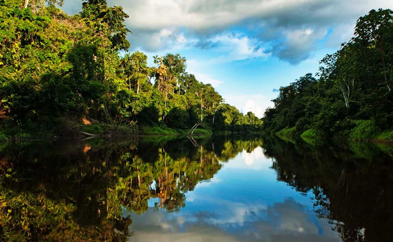 Desde la ciudad amazónica de Iquitos, también puedes conocer la Reserva Nacional Pacaya Samiria, además de explorar la rica biodiversidad de la selva peruana. (Foto: Yuripari)