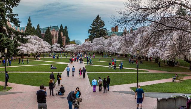 mejores universidades en el mundo para estudiar Educación