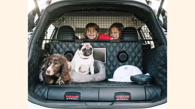 Un coche pensando para toda la familia… incluidas las mascotas.(foto:msn).