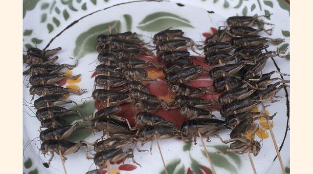 Saltamontes, hormigas y otros insectos son la base de la alimentación en Laos y otros países. (Foto: Getty)