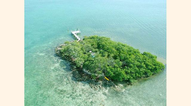Dolphin Jump Key. Rent My Island (Foto: MSN)