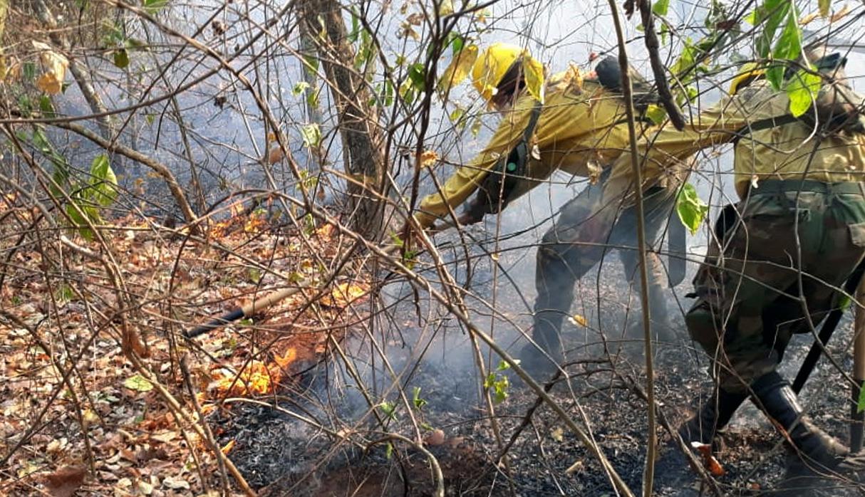 El incendio afecta gran parte de la Amazonía boliviana en Santa Cruz. (Foto: AFP)