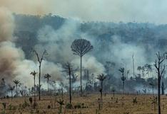¿Proteger o desarrollar la Amazonía? Incendios generan presión